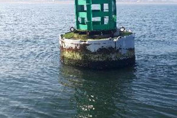 formation pratique en mer + théorie