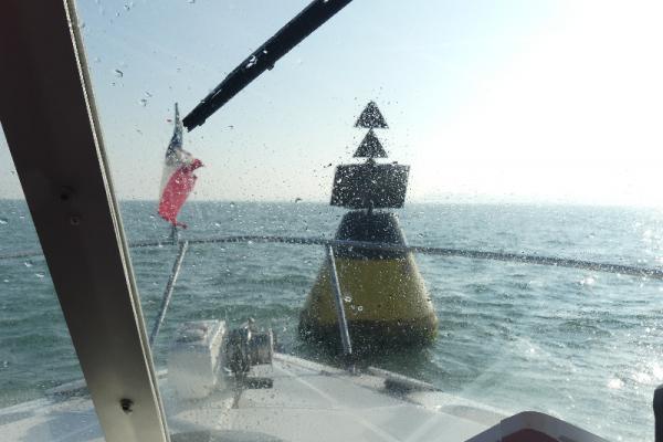 bouet cardinal JAGOART