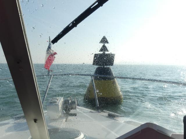 bouet cardinal JAGOART