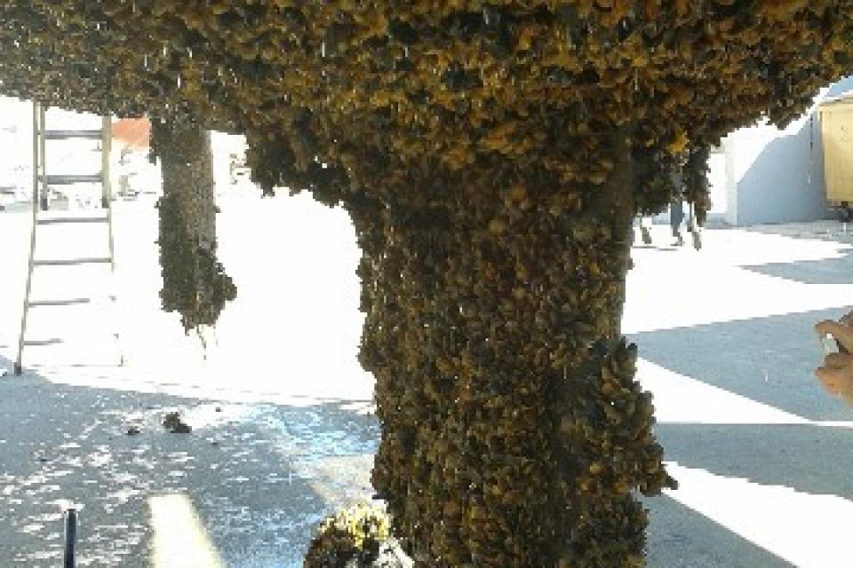 OPERATION CARENAGE entretien de la coque de votre bateau